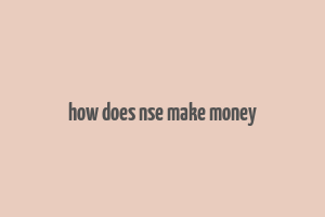 how does nse make money