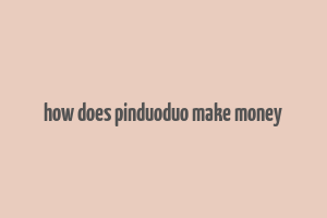 how does pinduoduo make money