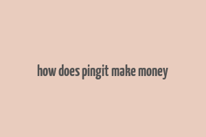 how does pingit make money