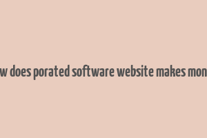 how does porated software website makes money