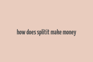 how does splitit make money