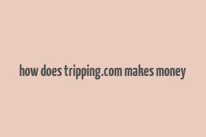 how does tripping.com makes money