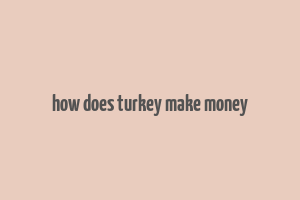 how does turkey make money