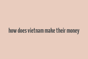 how does vietnam make their money