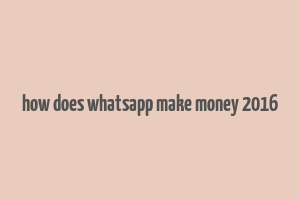 how does whatsapp make money 2016