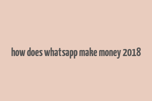 how does whatsapp make money 2018