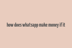 how does whatsapp make money if it& 39