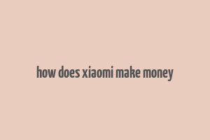 how does xiaomi make money