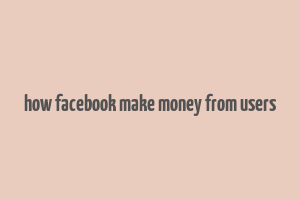 how facebook make money from users