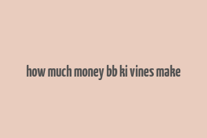 how much money bb ki vines make