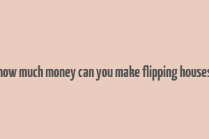 how much money can you make flipping houses