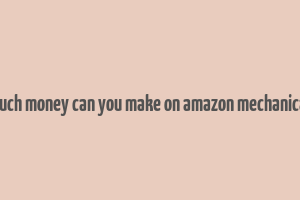 how much money can you make on amazon mechanical turk