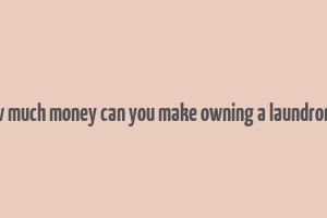 how much money can you make owning a laundromat