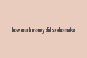 how much money did saaho make