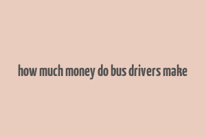 how much money do bus drivers make