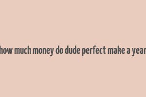 how much money do dude perfect make a year