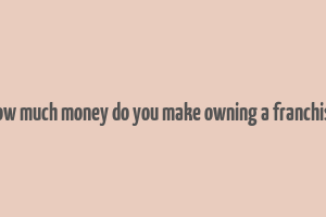 how much money do you make owning a franchise