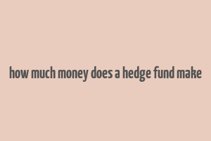 how much money does a hedge fund make