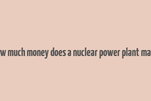 how much money does a nuclear power plant make