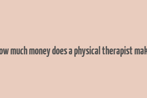 how much money does a physical therapist make