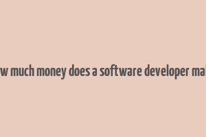 how much money does a software developer make