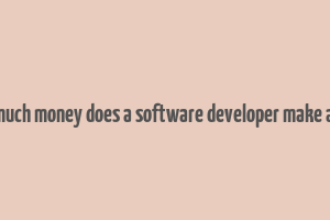 how much money does a software developer make a year