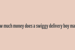 how much money does a swiggy delivery boy make