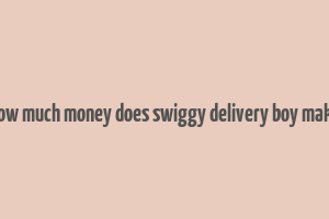 how much money does swiggy delivery boy make