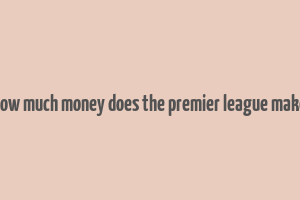 how much money does the premier league make