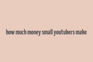 how much money small youtubers make