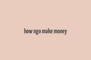 how ngo make money