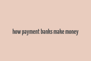 how payment banks make money