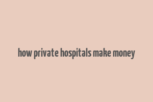 how private hospitals make money