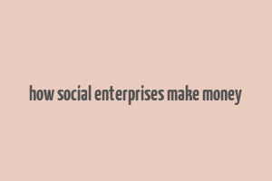 how social enterprises make money