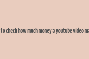 how to check how much money a youtube video makes