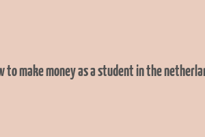 how to make money as a student in the netherlands