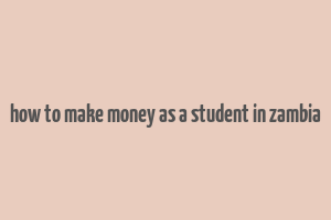 how to make money as a student in zambia