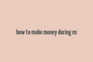 how to make money during ns