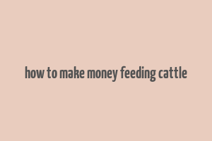 how to make money feeding cattle