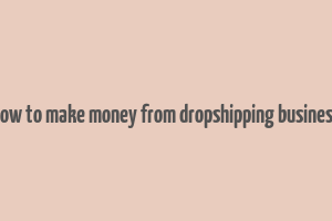 how to make money from dropshipping business