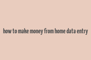 how to make money from home data entry