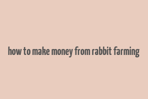 how to make money from rabbit farming