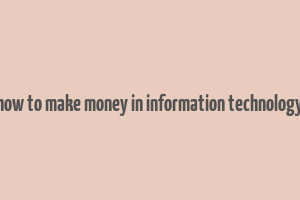 how to make money in information technology