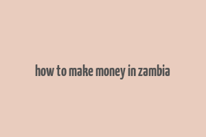 how to make money in zambia