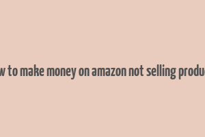 how to make money on amazon not selling products