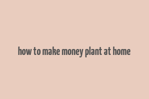 how to make money plant at home