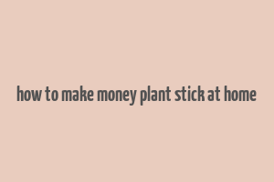 how to make money plant stick at home