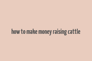 how to make money raising cattle