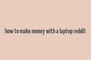 how to make money with a laptop reddit