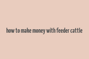 how to make money with feeder cattle